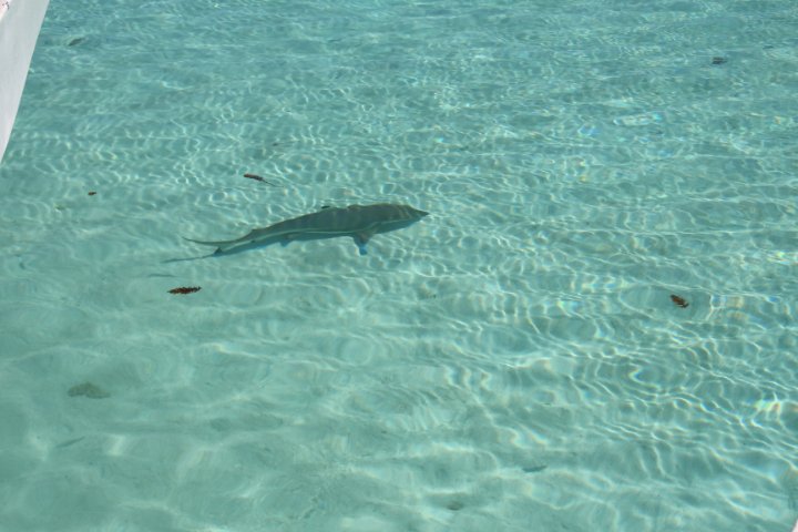 IMG_1262.JPG