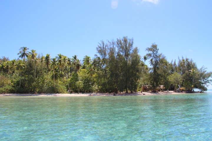 IMG_1294.JPG
