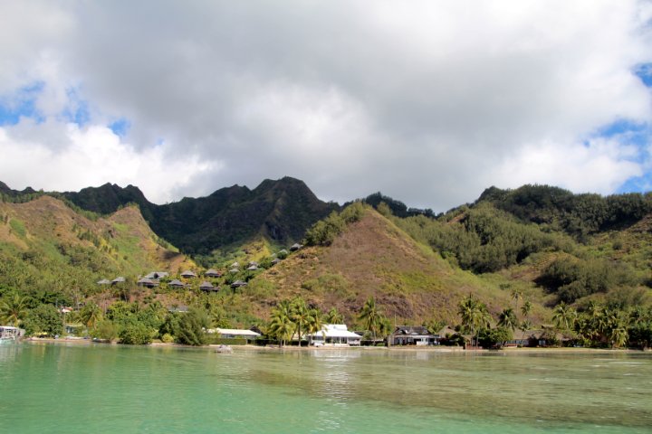 IMG_1373.JPG
