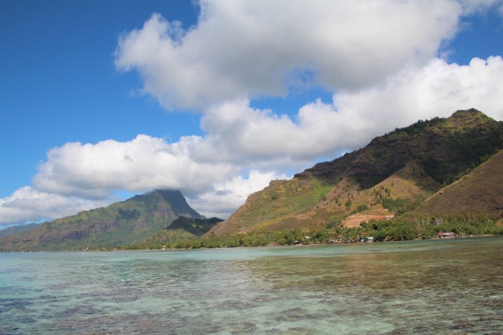 IMG_1375.JPG