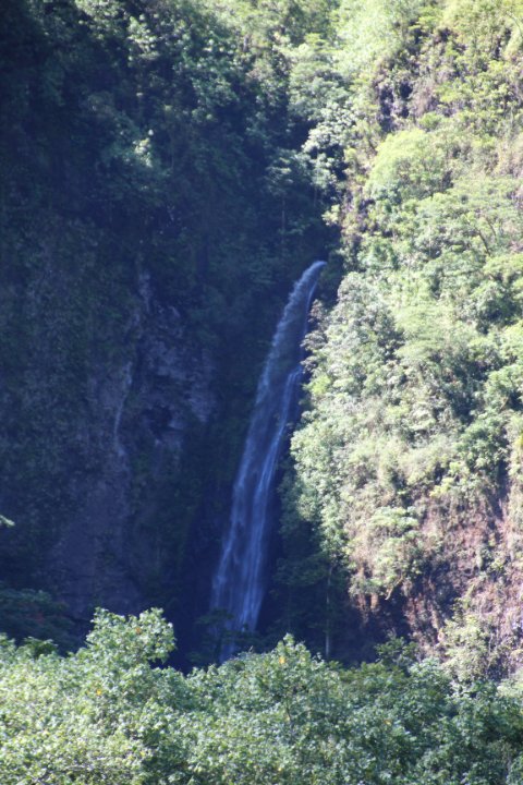 IMG_1421.JPG