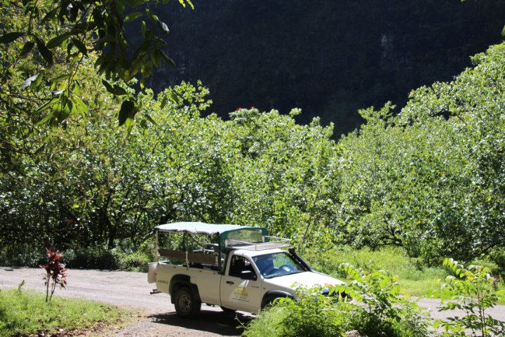 IMG_1436.JPG