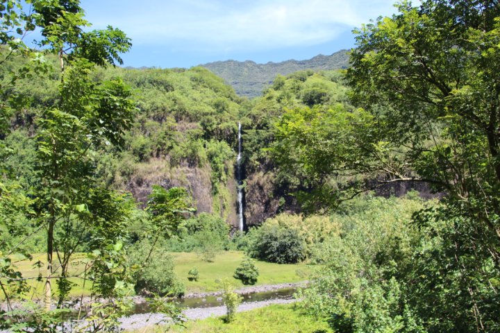 IMG_1455.JPG