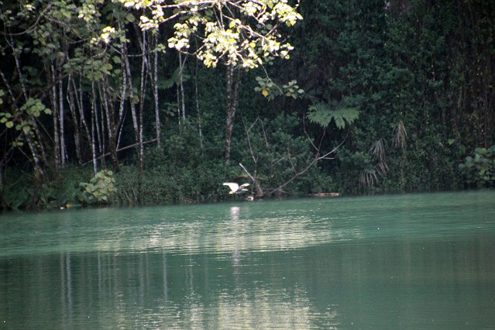 IMG_1467.JPG