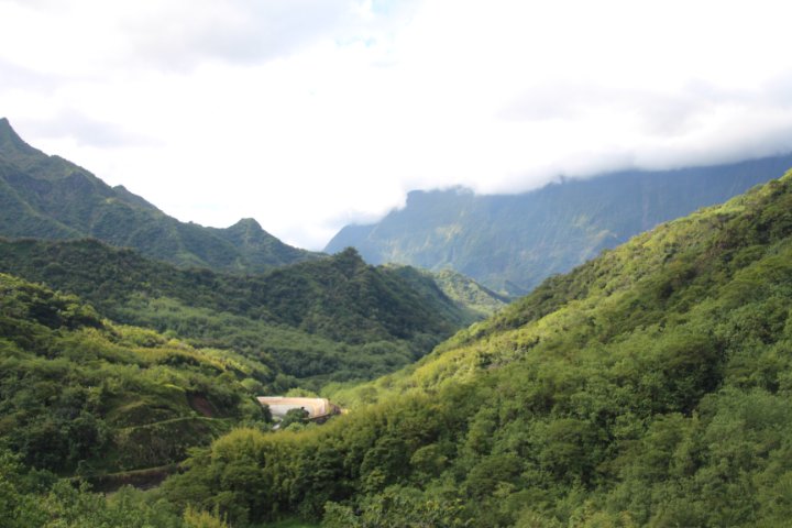 IMG_1537.JPG