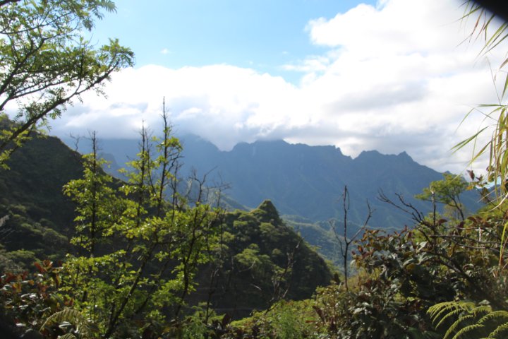 IMG_1554.JPG
