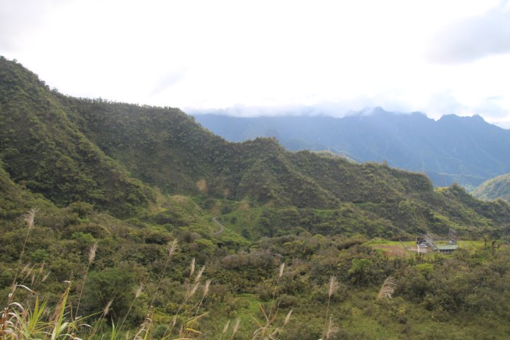 IMG_1594.JPG