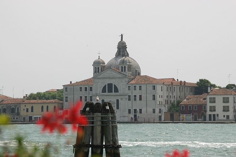 IMG_0142.JPG