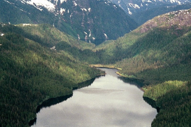 img001.JPG