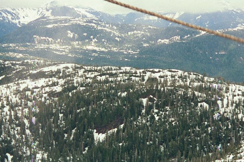 img003.JPG