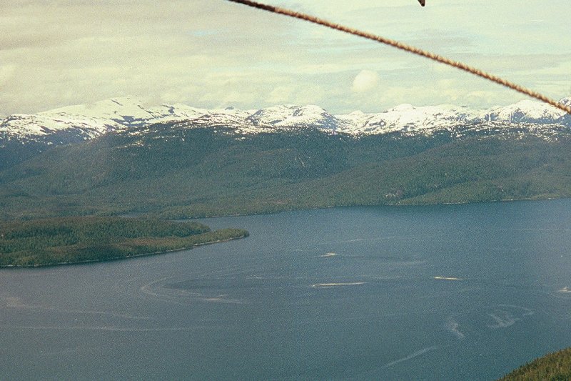 img004.JPG