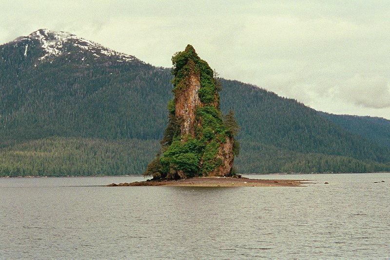 img007.JPG