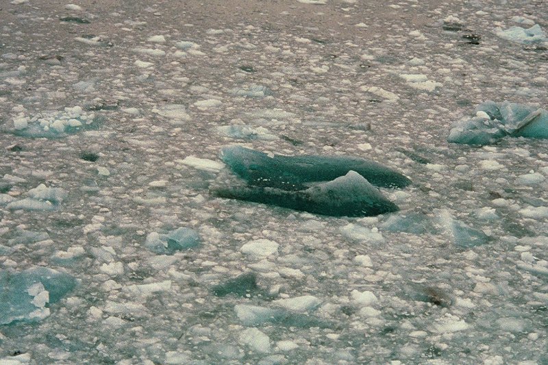 img019.JPG