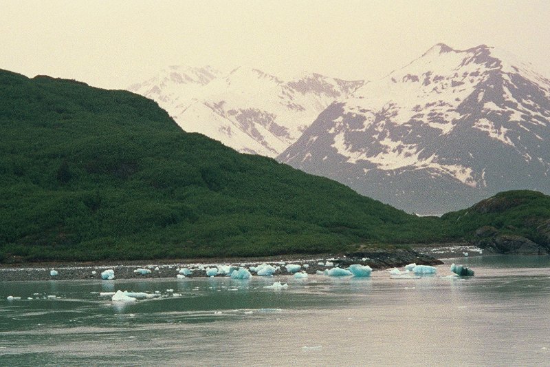 img030.JPG