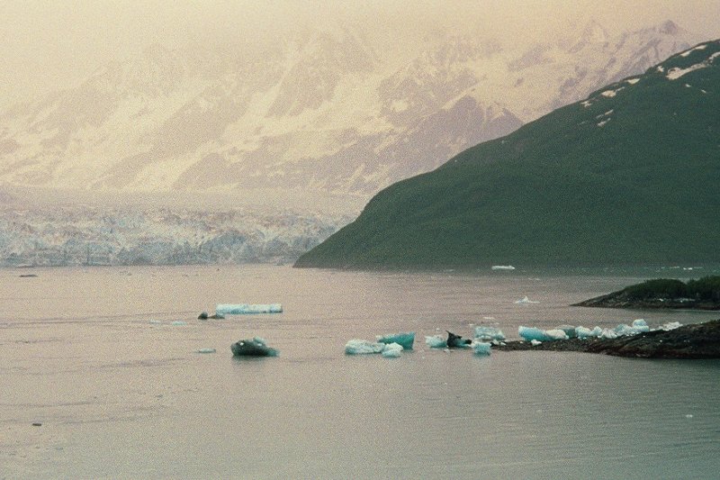 img032.JPG