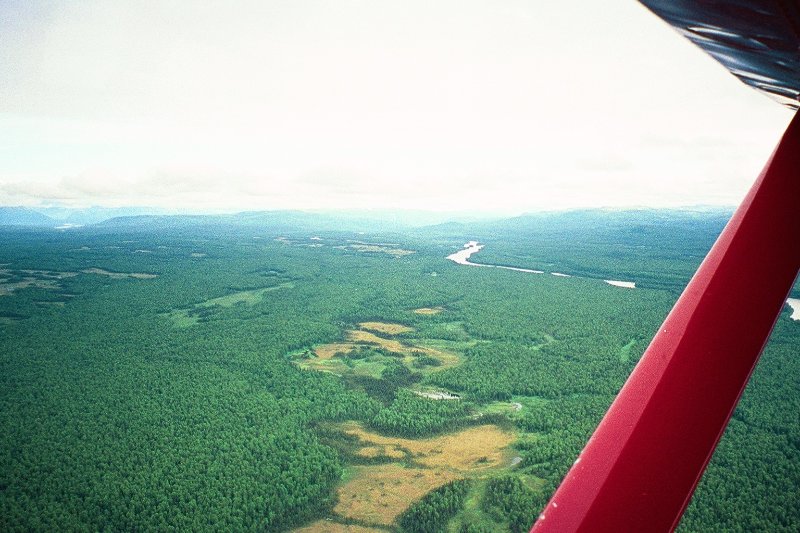 img090.JPG