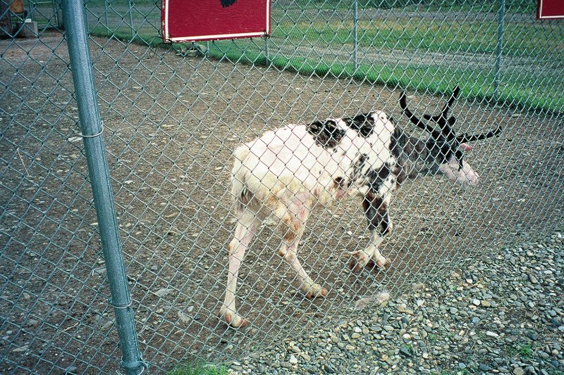 img096.JPG
