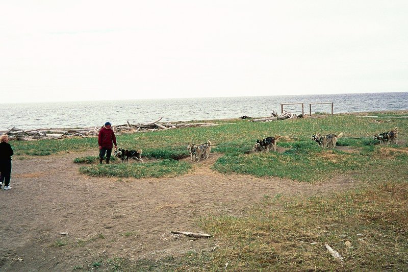 img103.JPG