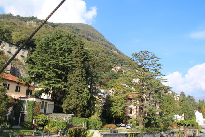 IMG_1953.JPG