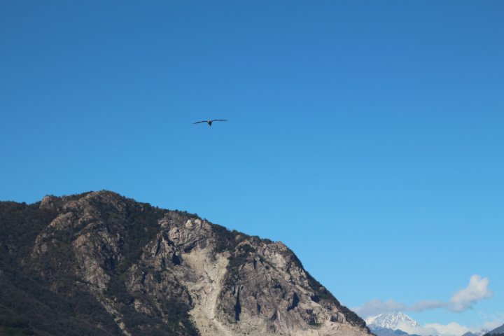 IMG_1146.JPG