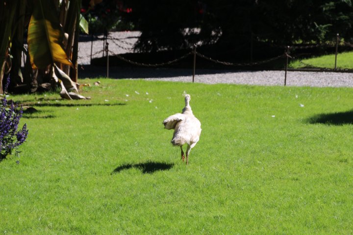 IMG_1179.JPG